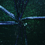 Backdrop, Glitter  kameeleon 1,5x6 m