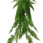 SÕNAJALG, kimp (120cm)