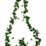 Viinamarjaväät 500cm