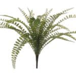 NÖÖP-SÕNAJALG, kimp (38cm)