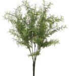 ROSMARIIN, kimp (43cm)