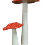 Dekoratiivsed kärbseseened, komplekt