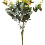 EUKALÜPT, kimp (50cm)