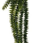 KARUKOLD-SÕNAJALG, kimp (80cm)