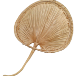 Lehvik, punutud suur