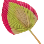 Lehvik, värviline väike