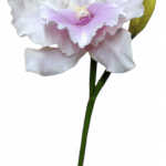 Orhidee õis, helelilla (55cm)