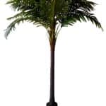 Kookospalm (270cm)