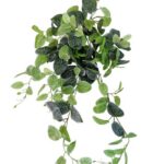 PITSLEHIK, kimp (80cm)