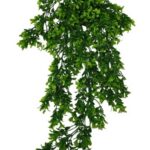 Rippuv pukspuukimp (80cm)