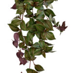 SEBRALILL, rippuv kimp (85cm)