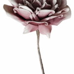 Suur lilleõis, roosa