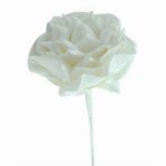 Suur lilleõis, valge