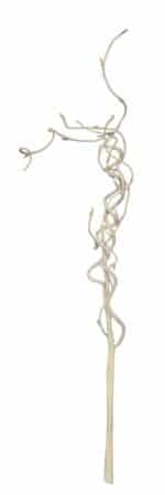 Dekoratiivne keeruoks, valge/roheline - Image 2