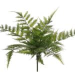 Sõnajalakimp (35cm)