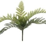 Sõnajalakimp, tumeroheline (25cm)